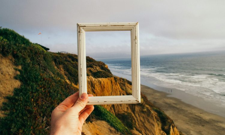 pine-watt-3_Xwxya43hE-unsplash